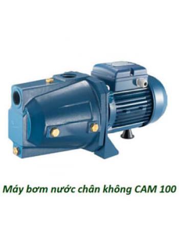 Máy bơm nước đầu lợn Forza CAM 100 750w